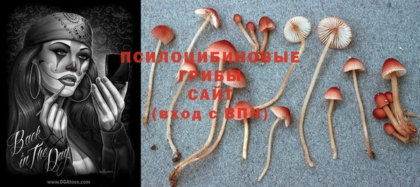 эйфоретик Арсеньев
